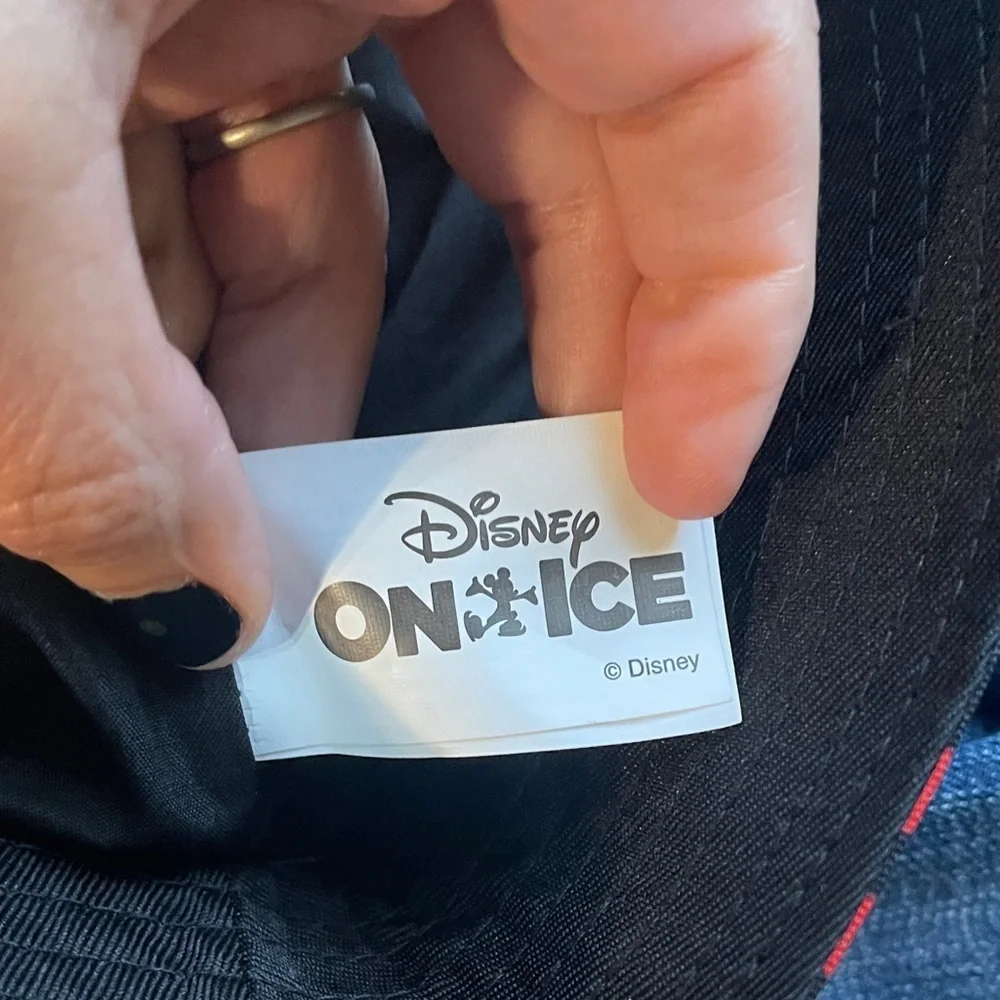 Disney black hat